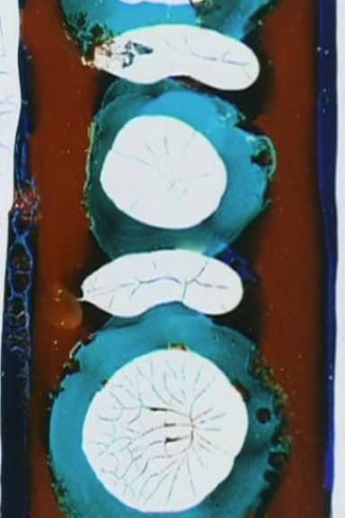 Passage poster