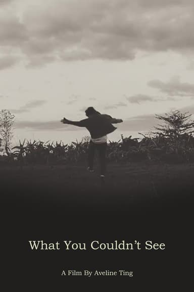 What You Couldn't See poster