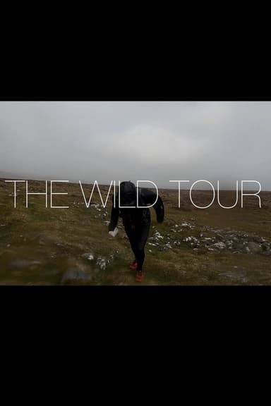 The Wild Tour poster