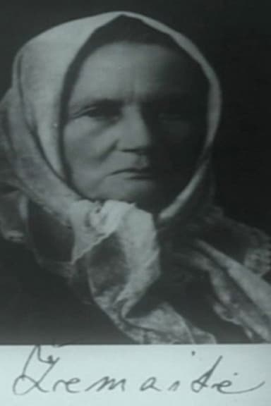 Žemaitė poster