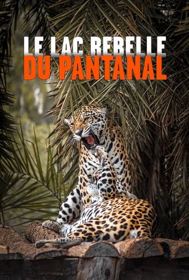 The Pantanal's Rebel Lake poster