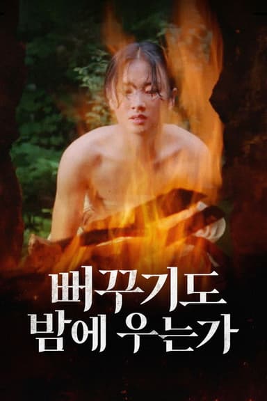 Shall Cuckoo Sing at Night poster