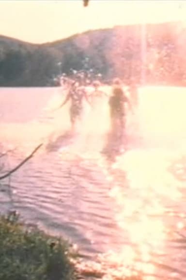 Water Light/Water Needle (Lake Mah Wah, NJ) poster