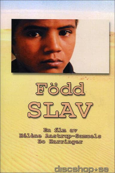 Born Slave poster