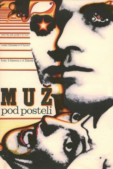 Husband Under the Bed poster