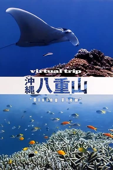 Virtual Trip Diving View poster