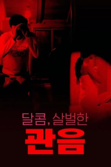 달콤,살벌한 관음 poster