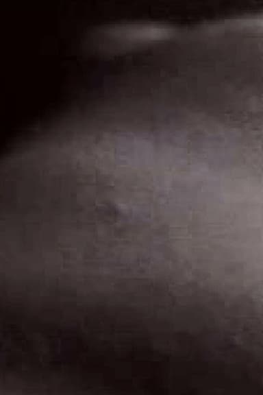 Fleshfilm poster