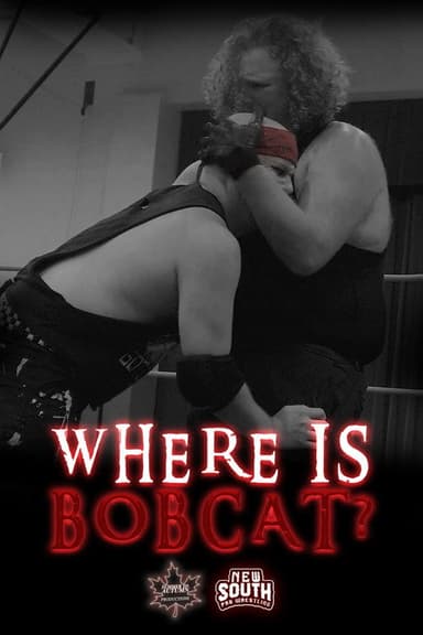 Where Is Bobcat? poster