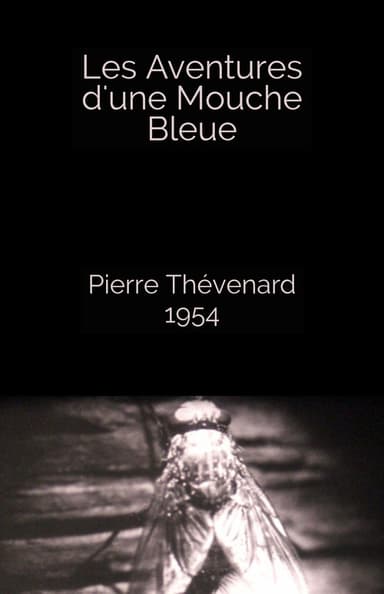 The Adventures of a Blue Fly poster