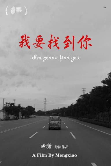 I'm Gonna Find You poster