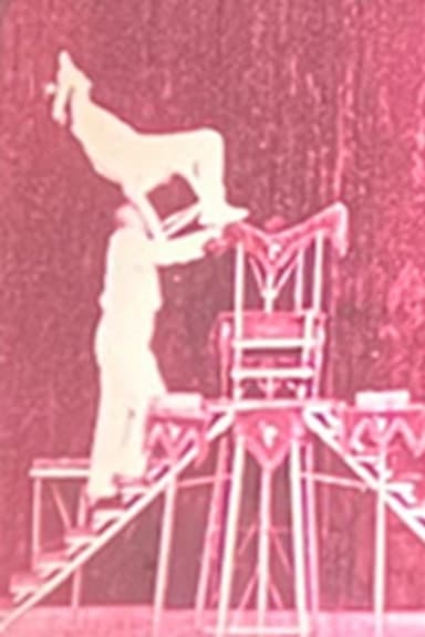 Vaudeville Deluxe poster