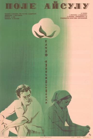 Aisulu's field poster