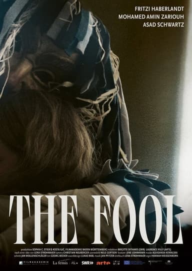 The Fool poster