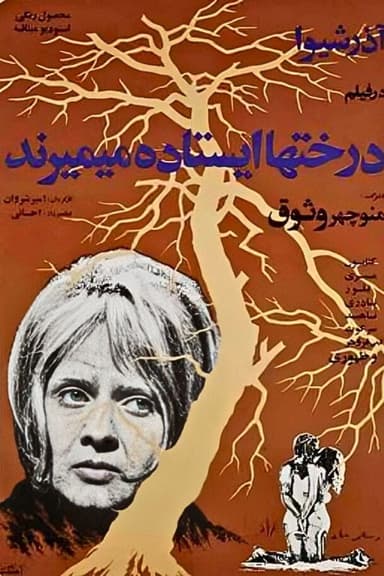 Trees Die Standing poster