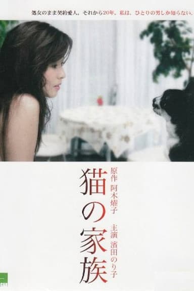 猫の家族 poster