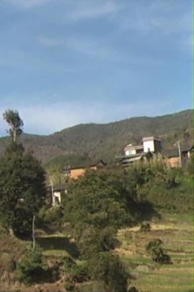 Huamulin 2012 poster