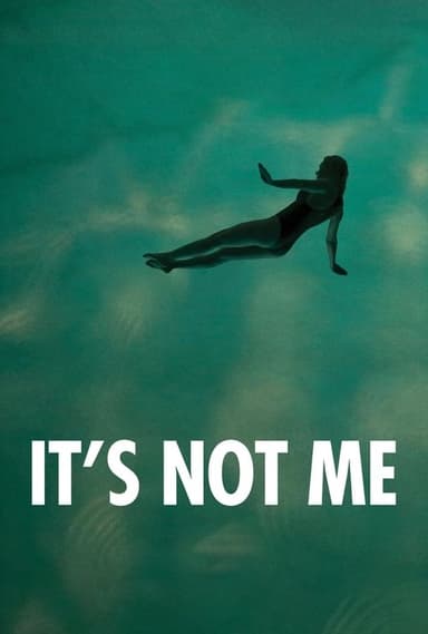 It's Not Me poster