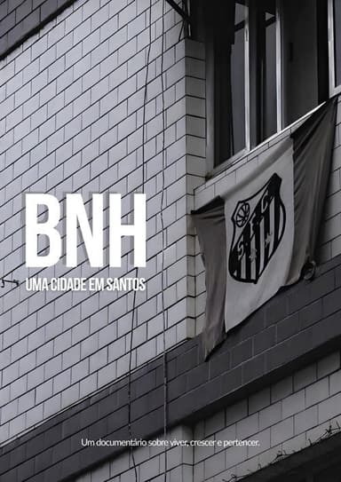 BNH: Uma Cidade em Santos poster