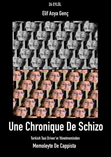 Chronic of Schizo poster