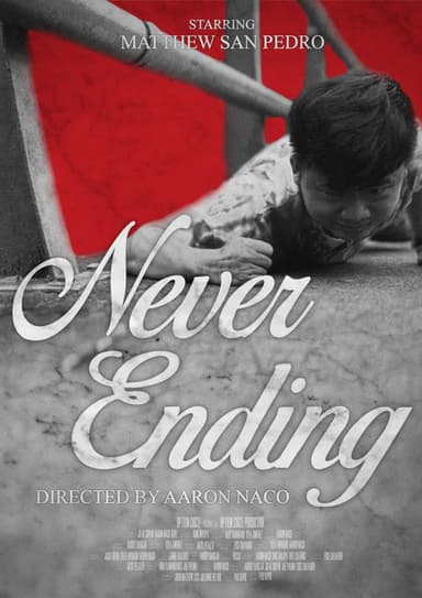 Never Ending poster