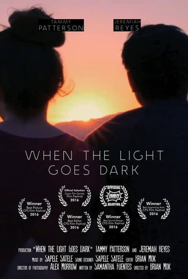 When the Light Goes Dark poster