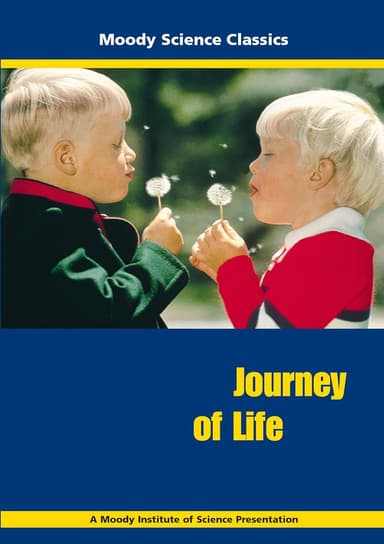 Journey of Life poster