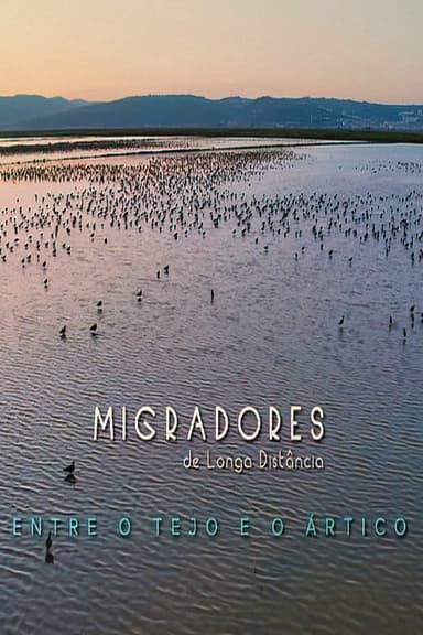 Migradores de Longa Distância: Entre o Tejo e o Ártico poster