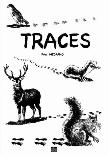 Traces poster