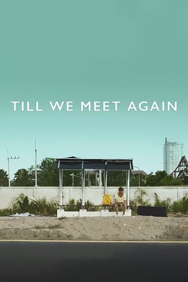 Till We Meet Again poster