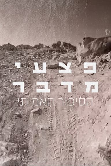 Desert Wounds poster