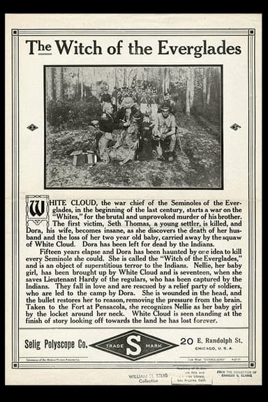 The Witch of the Everglades poster