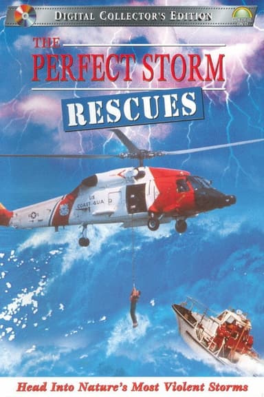 The Perfect Storm: Rescues poster