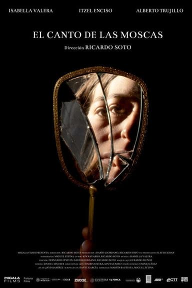 The singing of the flies poster