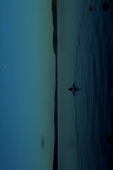 THE WATERS poster