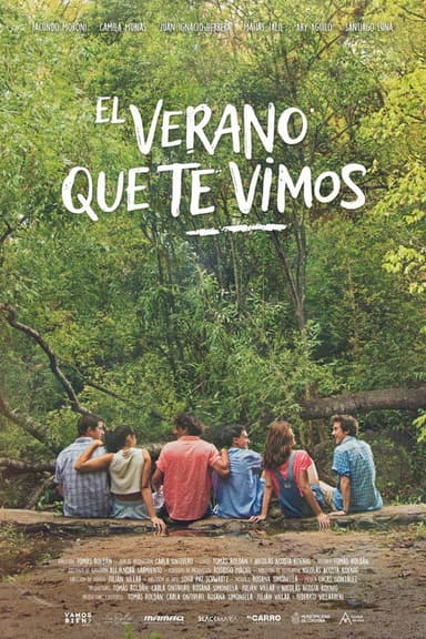 El verano que te vimos poster
