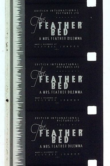 The 'Feather' Bed: A Mrs. Feather Dilemma poster