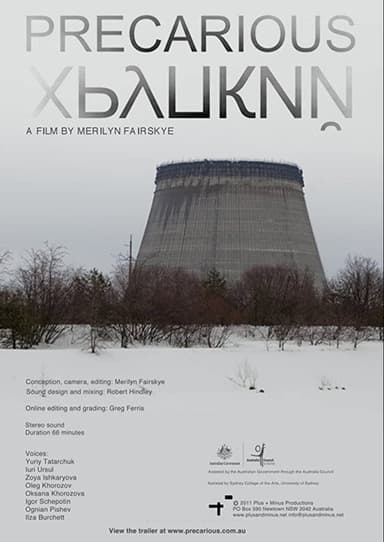 Precarious poster