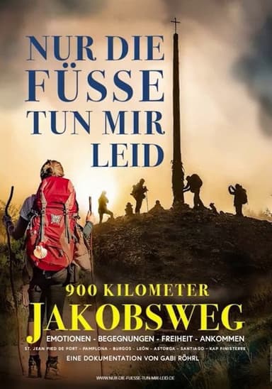Nur die Füße tun mir leid poster