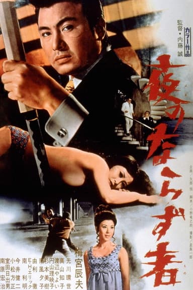 Rogue Of The Night poster