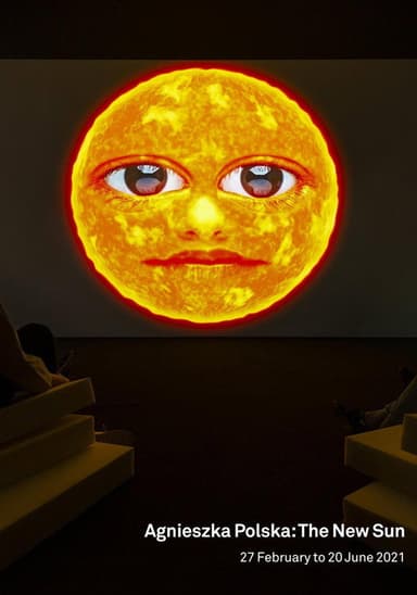 The New Sun poster
