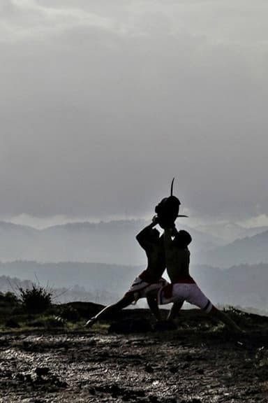 Kalaripayattu poster