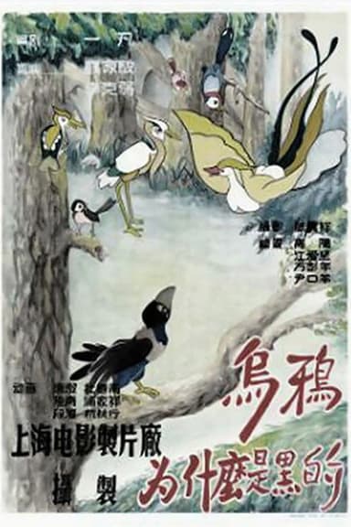 Why is the Crow Black-Coated poster