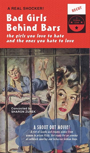 Bad Girls Behind Bars poster