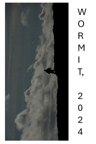 WORMIT, 2024 poster