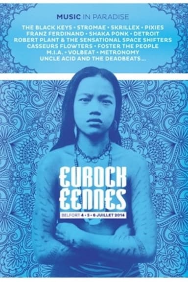 The Black Keys - Festival des Eurockéennes de Belfort 2014 poster