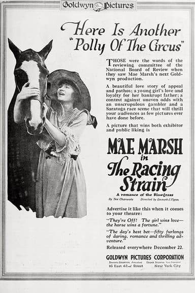 The Racing Strain poster