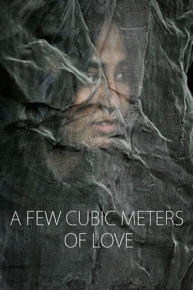 A Few Cubic Meters of Love poster