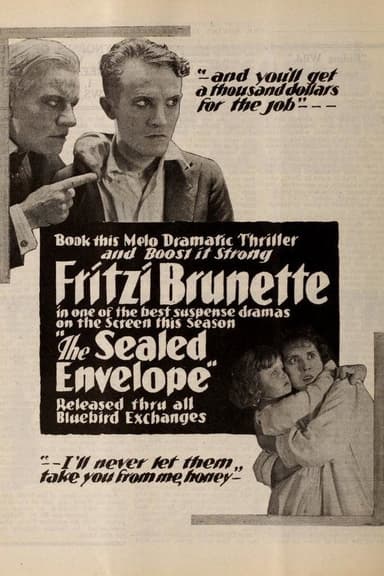 The Sealed Envelope poster