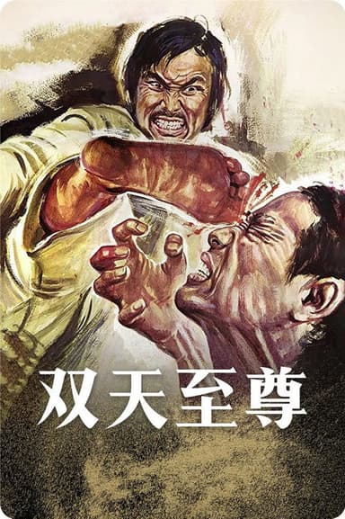 双天至尊 poster